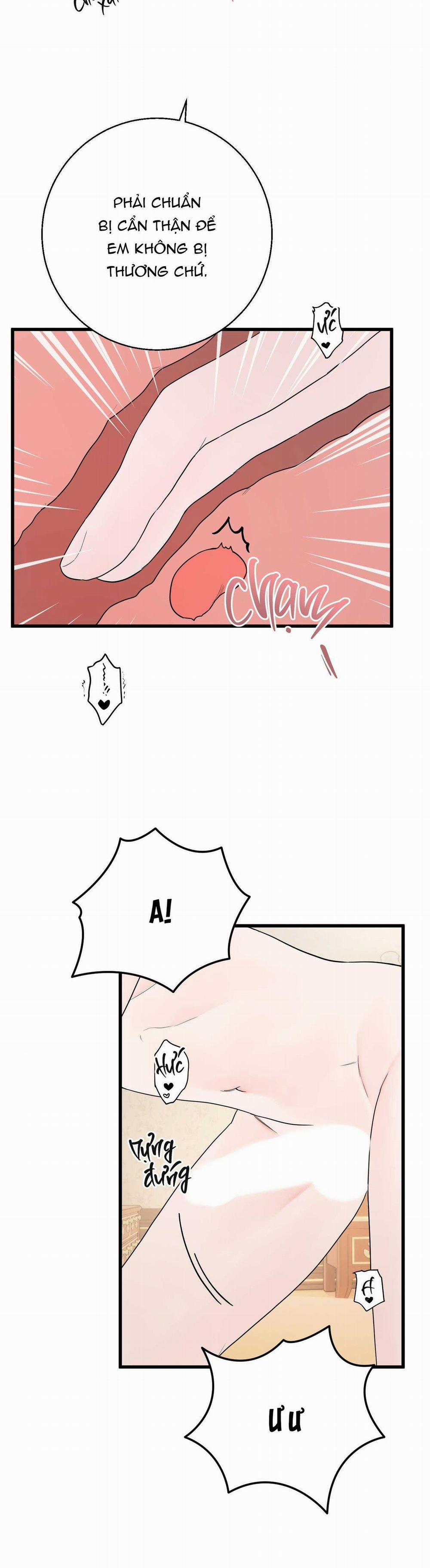 BL NGẮN CHỊCH HỎNY 47.6 trang 7