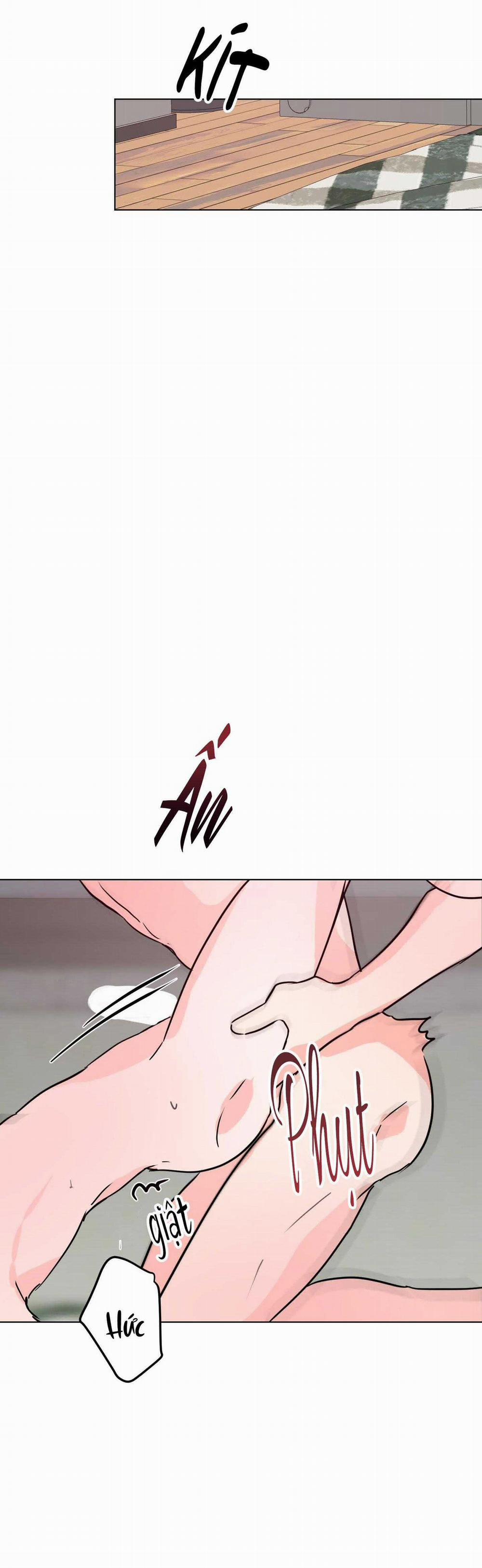 BL NGẮN CHỊCH HỎNY 48.5 trang 16