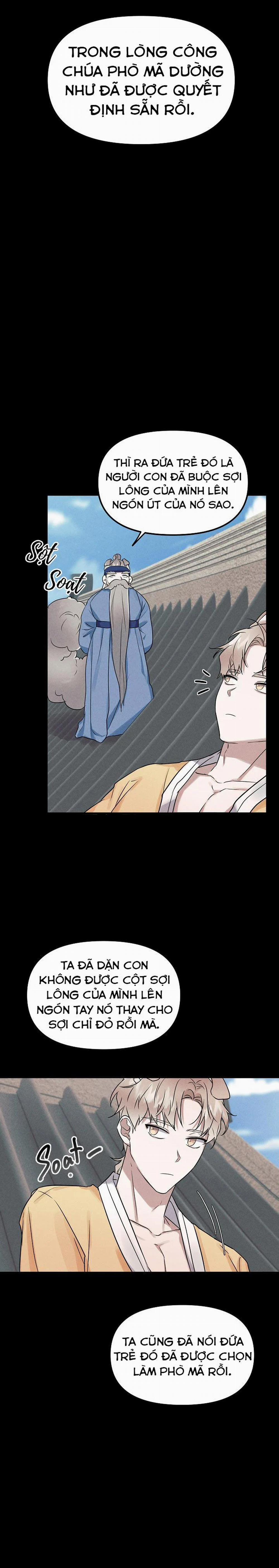 BL NGẮN CHỊCH HỎNY 5.3 trang 11