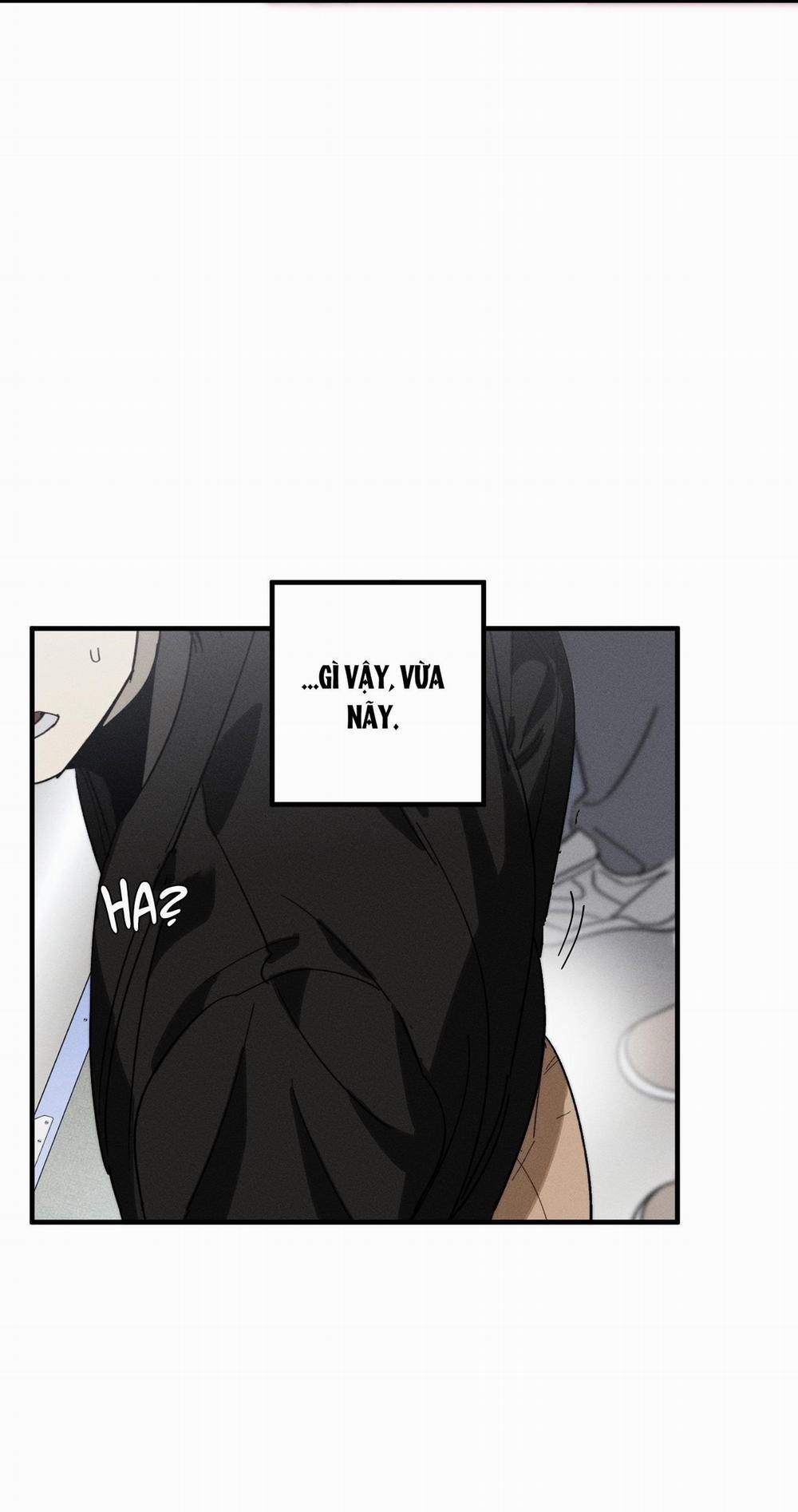BL NGẮN CHỊCH HỎNY 52.3 vanss 3 trang 19