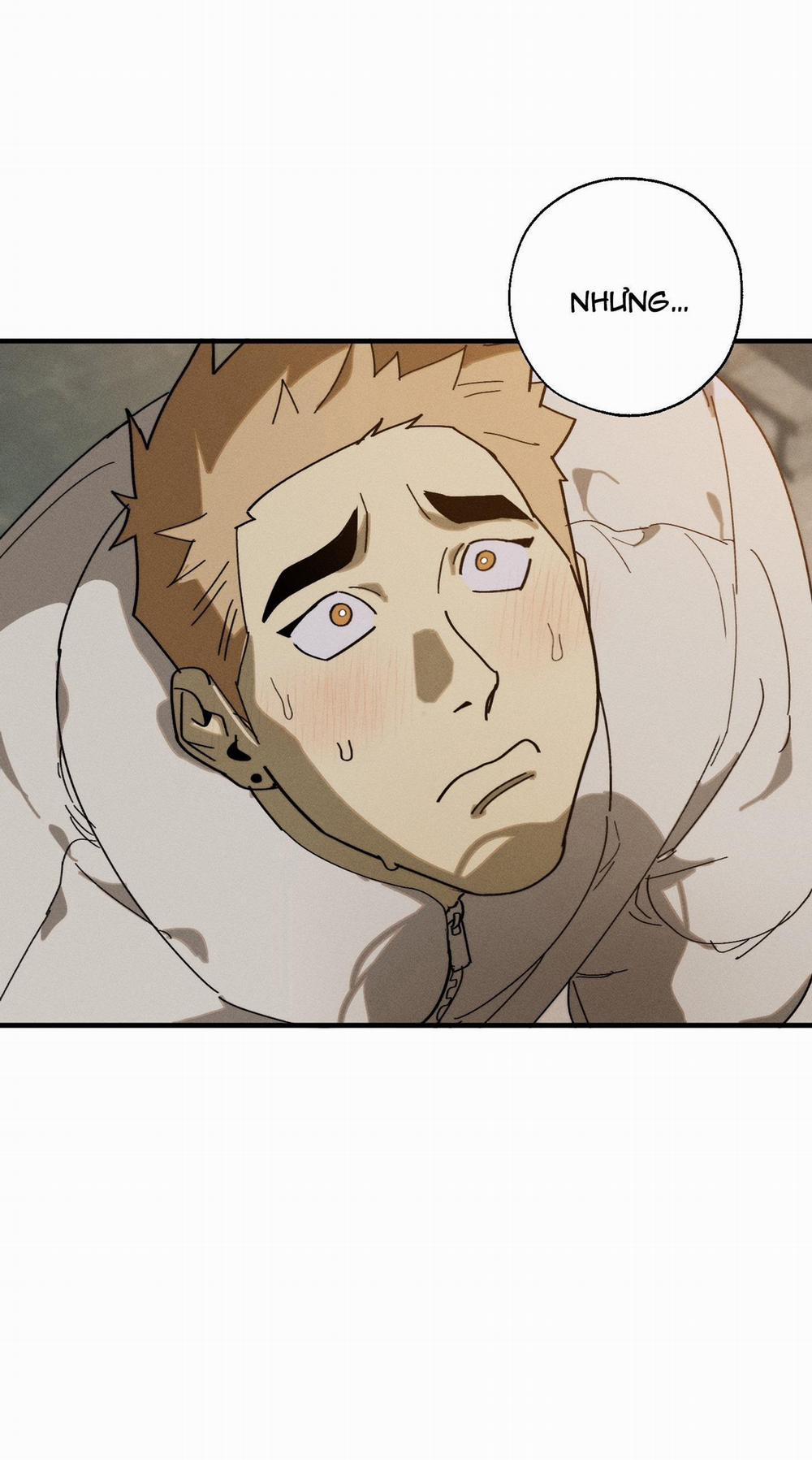 BL NGẮN CHỊCH HỎNY 52.5 vanss 5 trang 14