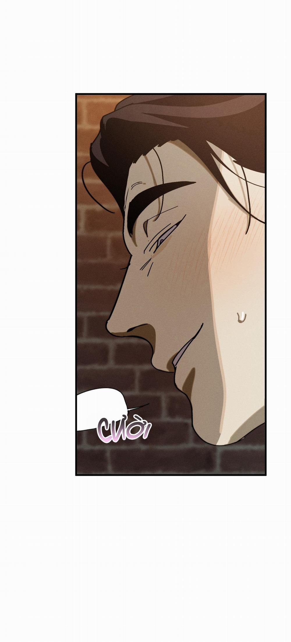 BL NGẮN CHỊCH HỎNY 52.5 vanss 5 trang 16