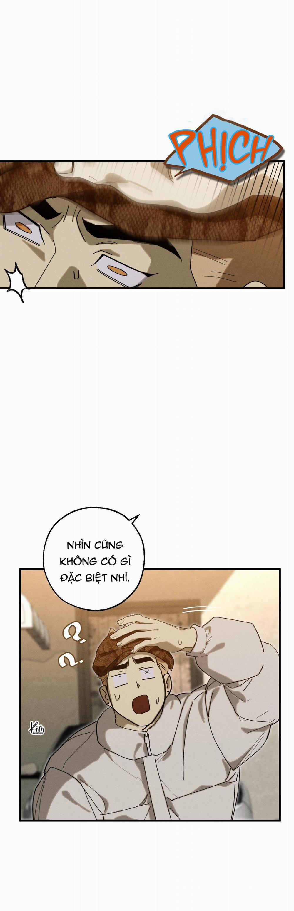 BL NGẮN CHỊCH HỎNY 52.5 vanss 5 trang 18