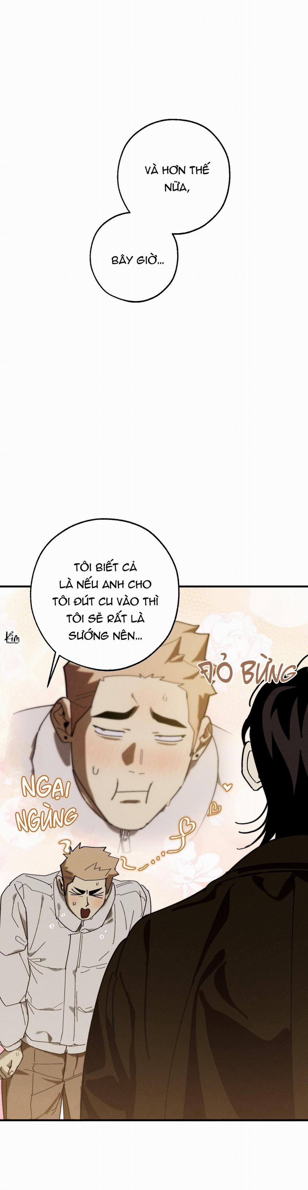 BL NGẮN CHỊCH HỎNY 52.5 vanss 5 trang 29
