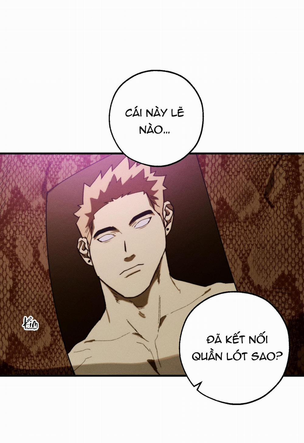 BL NGẮN CHỊCH HỎNY 52.5 vanss 5 trang 3