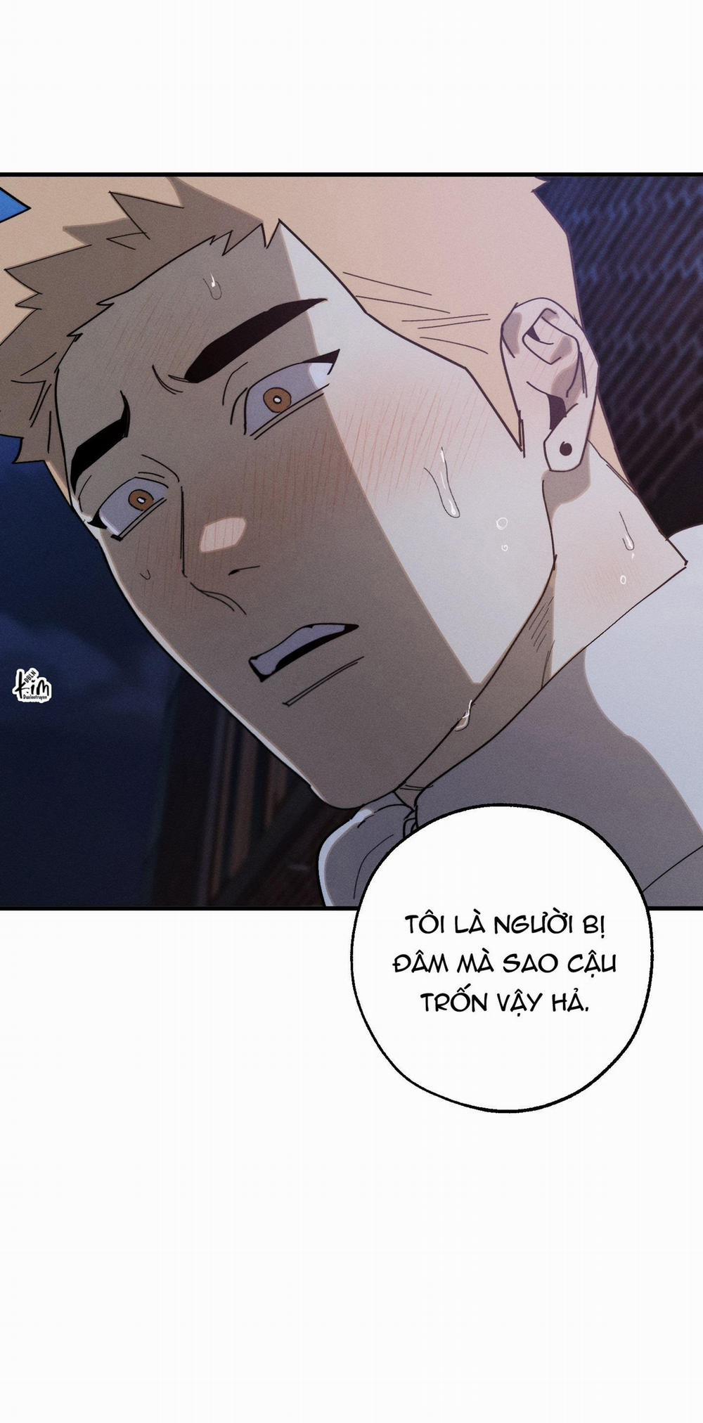 BL NGẮN CHỊCH HỎNY 52.5 vanss 5 trang 51
