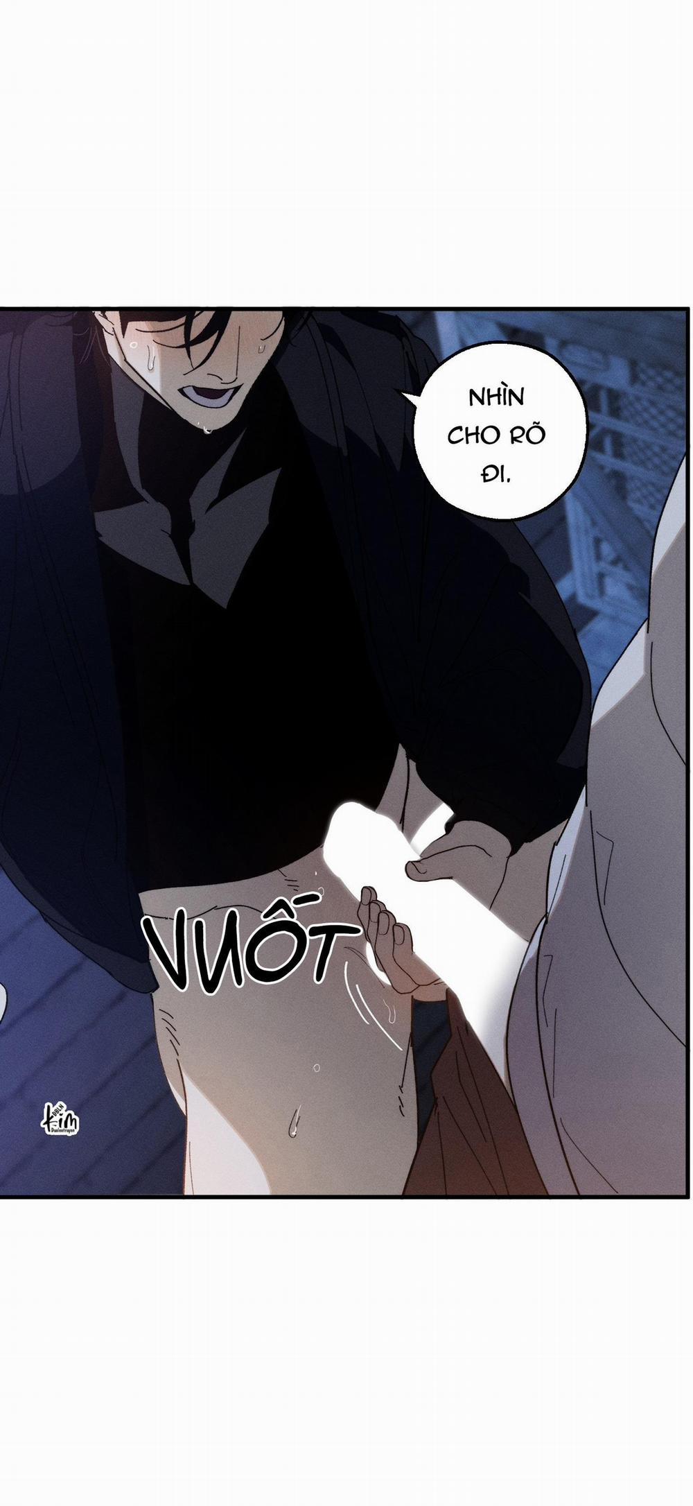 BL NGẮN CHỊCH HỎNY 52.5 vanss 5 trang 52