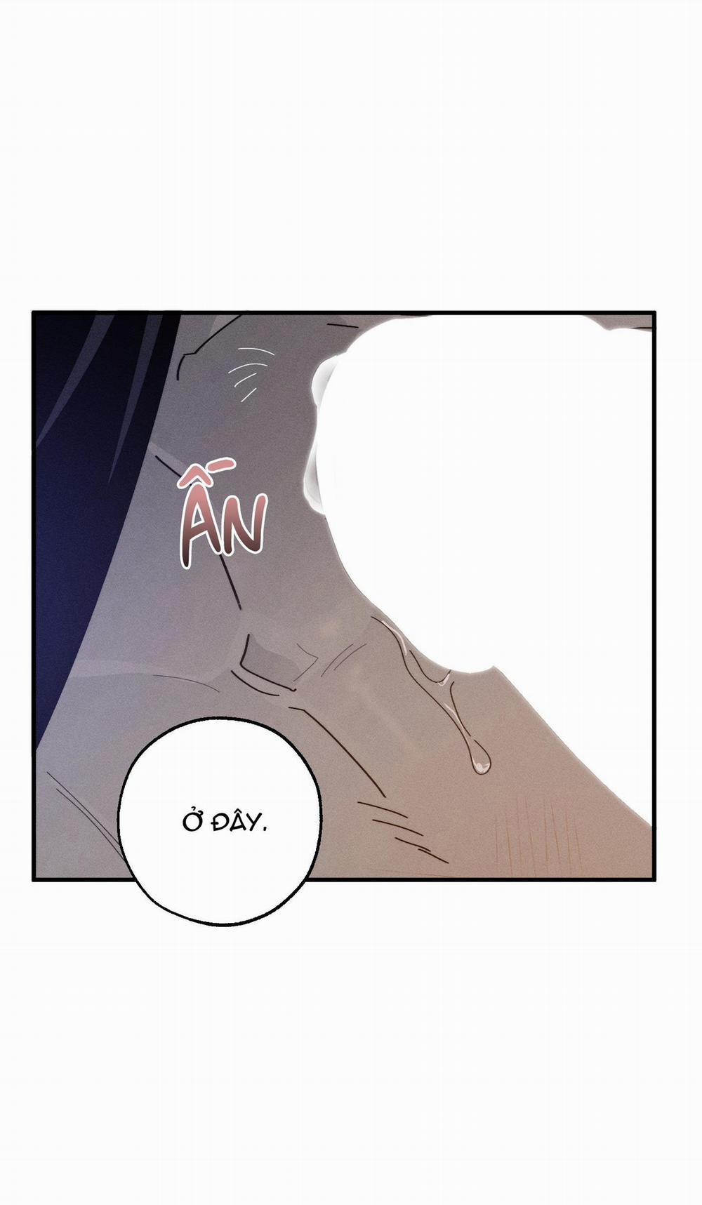 BL NGẮN CHỊCH HỎNY 52.5 vanss 5 trang 53