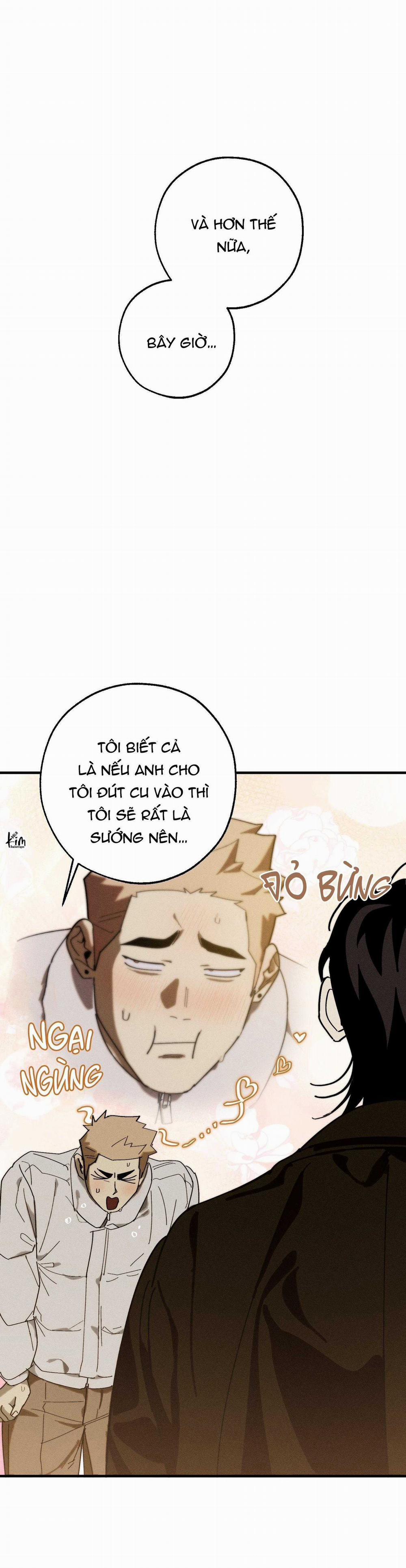 BL NGẮN CHỊCH HỎNY 52.5 trang 29