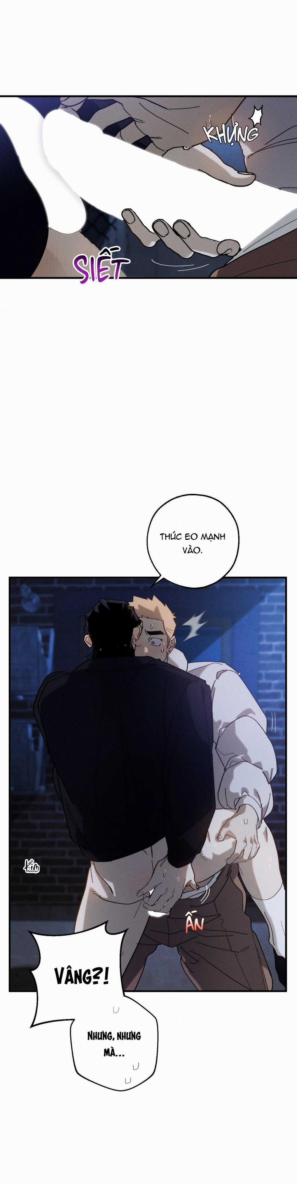 BL NGẮN CHỊCH HỎNY 52.5 trang 49