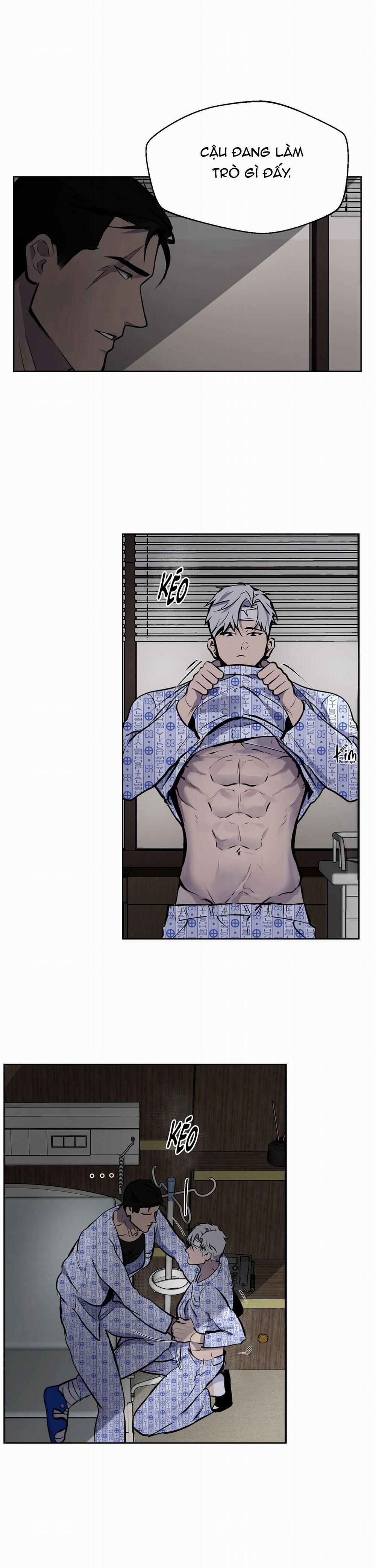 BL NGẮN CHỊCH HỎNY 54.2 không gấp 2 trang 4