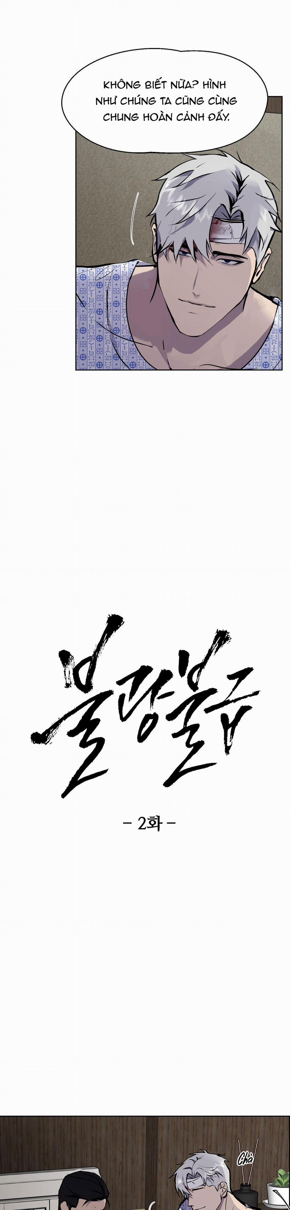 BL NGẮN CHỊCH HỎNY 54.2 không gấp 2 trang 5