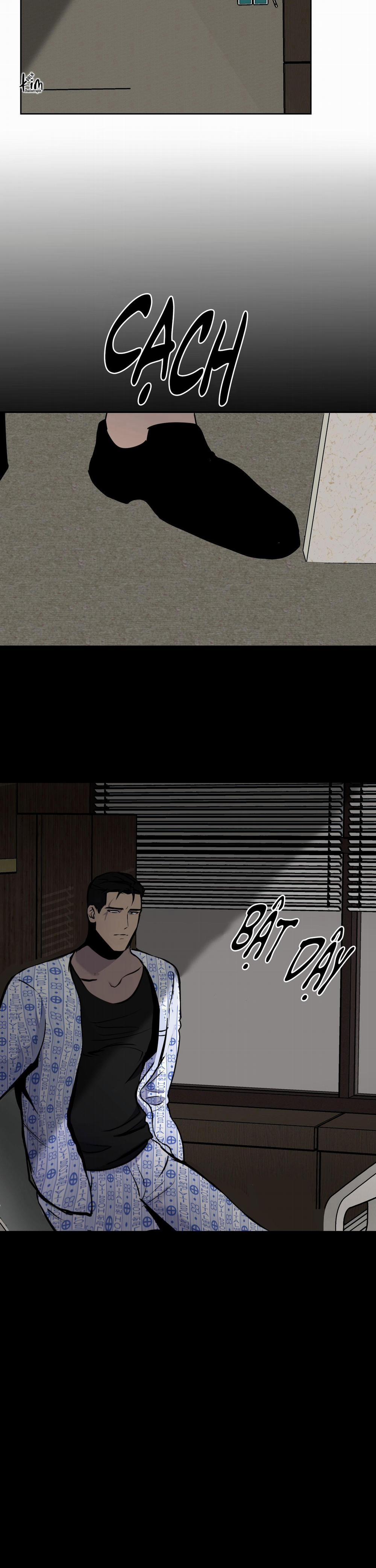 BL NGẮN CHỊCH HỎNY 54.2 không gấp 2 trang 9