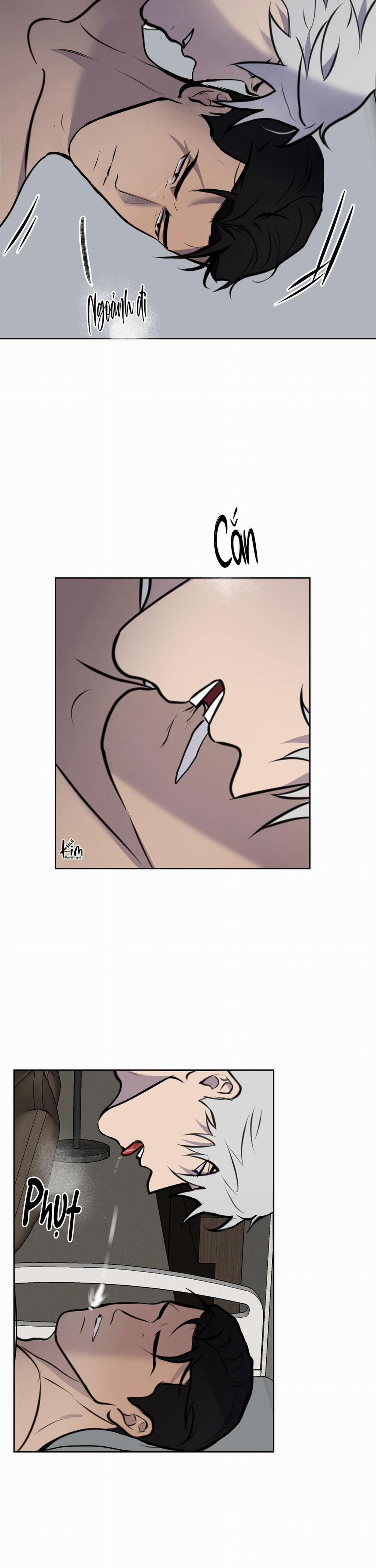 BL NGẮN CHỊCH HỎNY 54.3 không gấp 3 trang 14