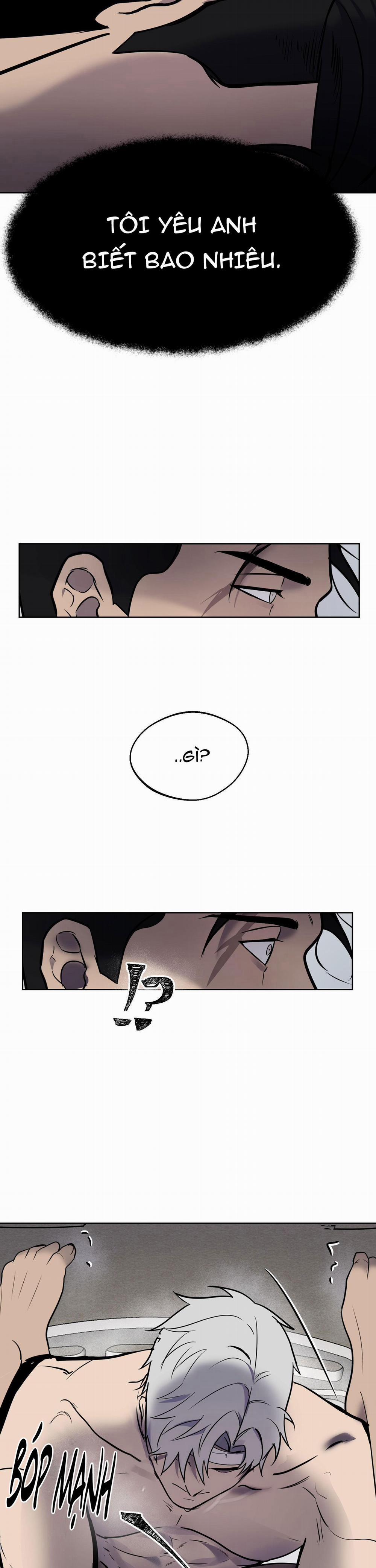 BL NGẮN CHỊCH HỎNY 54.3 không gấp 3 trang 18