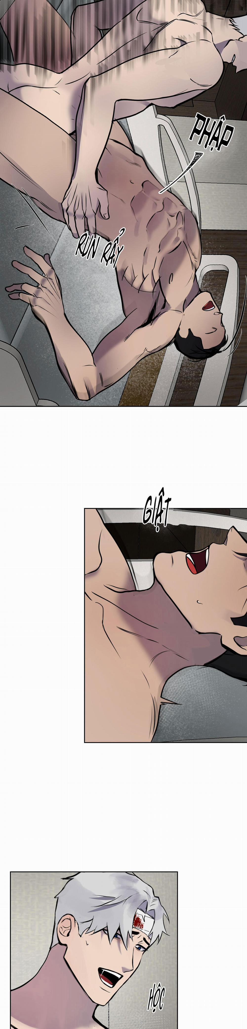 BL NGẮN CHỊCH HỎNY 54.3 không gấp 3 trang 8