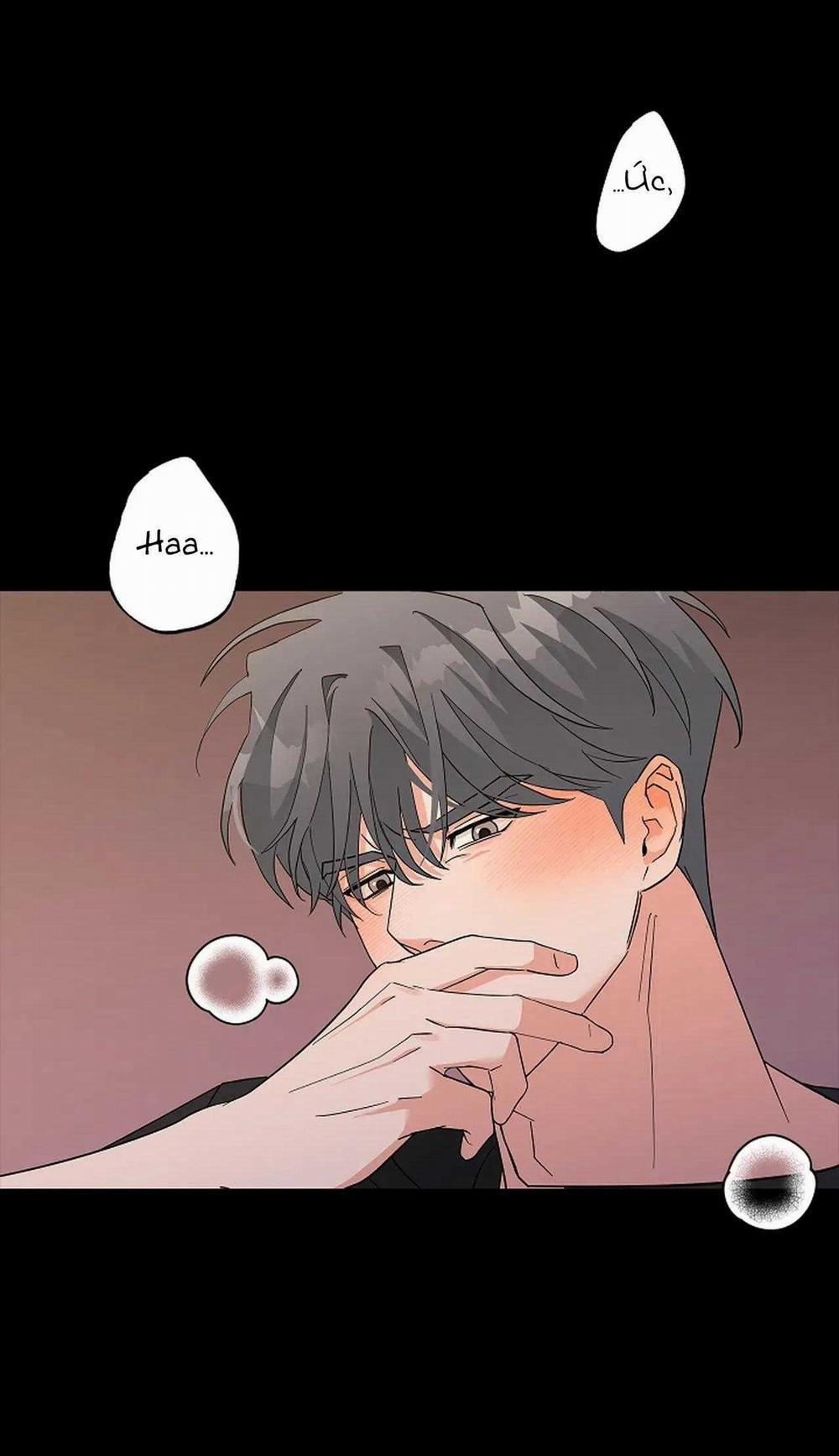 BL NGẮN CHỊCH HỎNY 57.5 trang 2