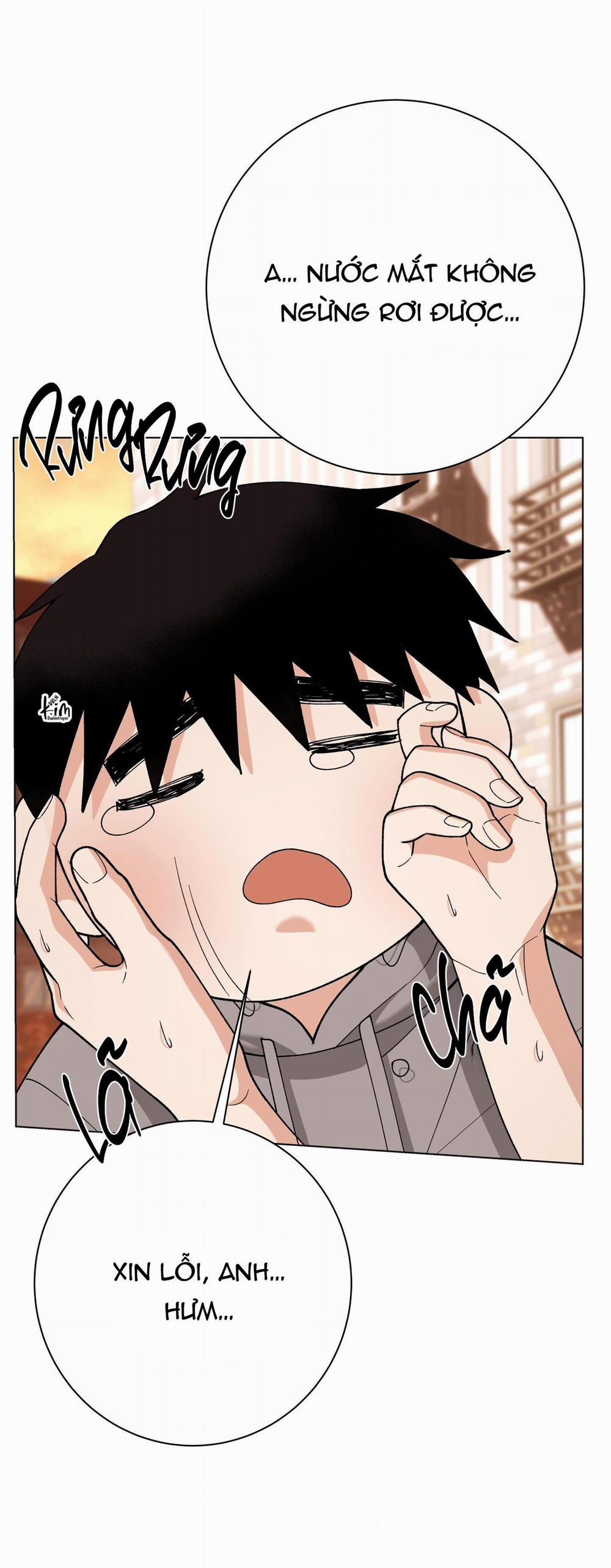 Bl Ngắn Tuyển Chọn 31.6 adonis end trang 2