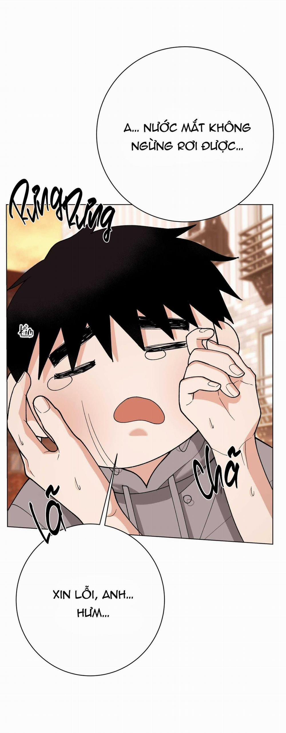 Bl Ngắn Tuyển Chọn 31.6 trang 2