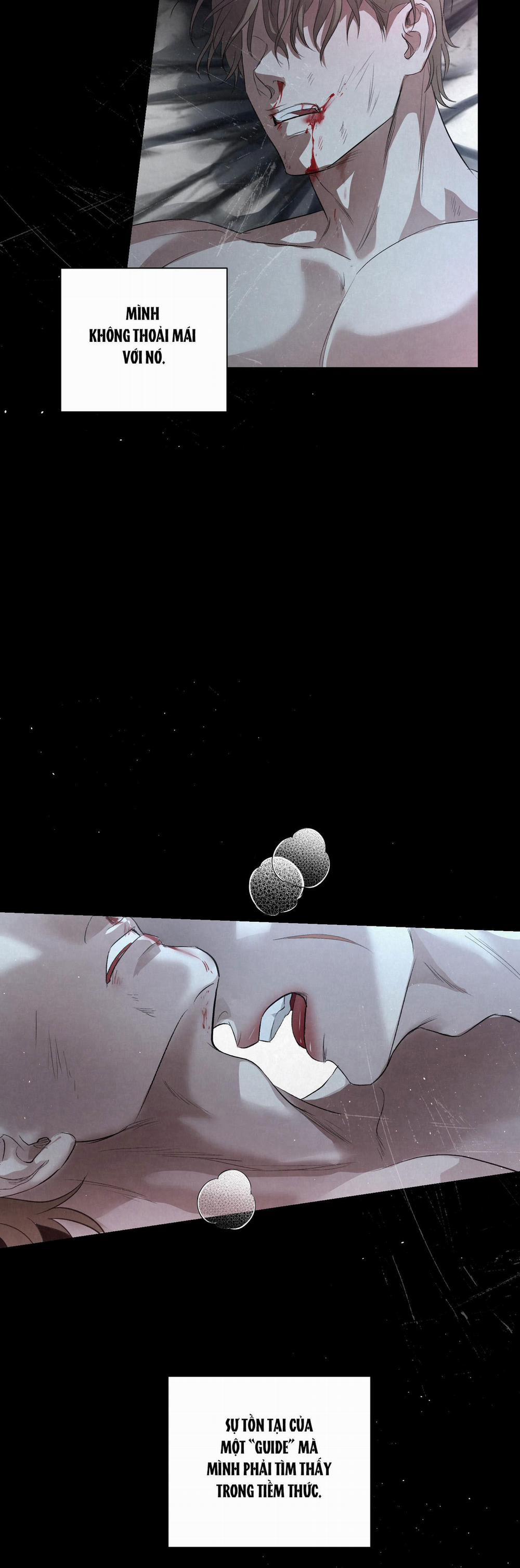 Blood Guide 1 trang 17