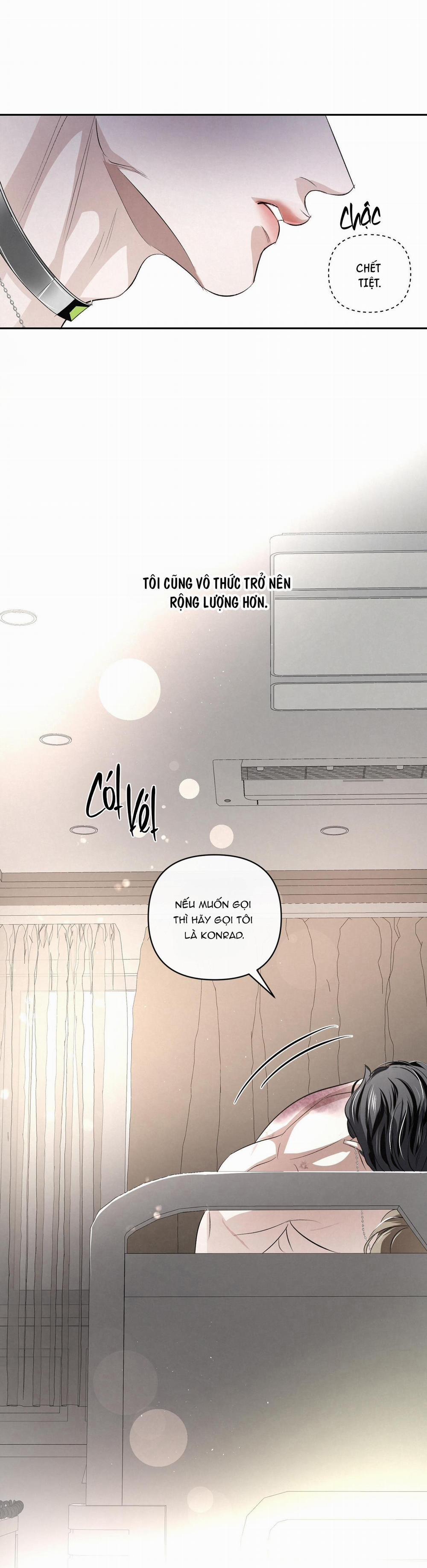 Blood Guide 24 trang 22