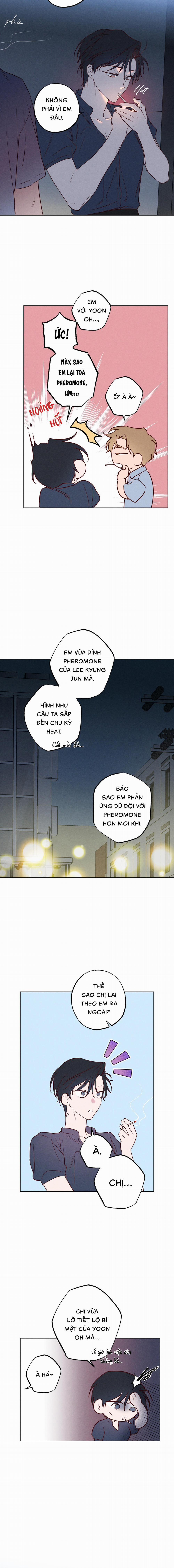 BỜ BIỂN NƠI CON SÓNG THUỘC VỀ 16 trang 5