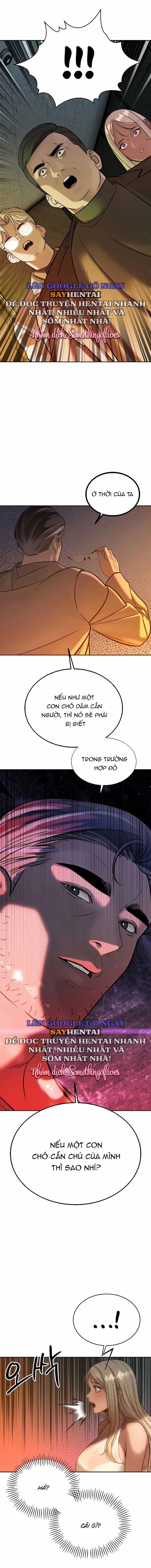 Bố Chồng Càn Quét Tất Cả Mọi Thứ 10 trang 10