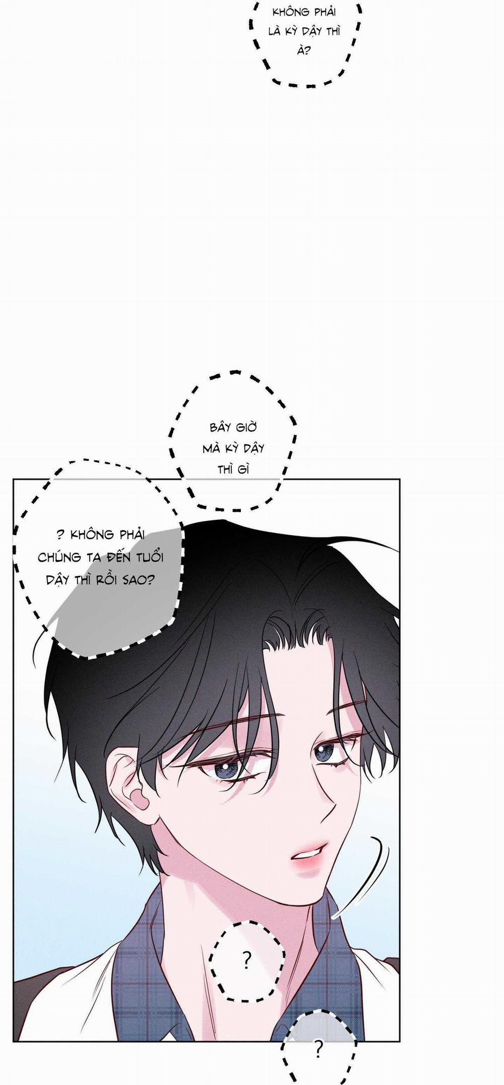 BỜ SÓNG VỖ 27 trang 15