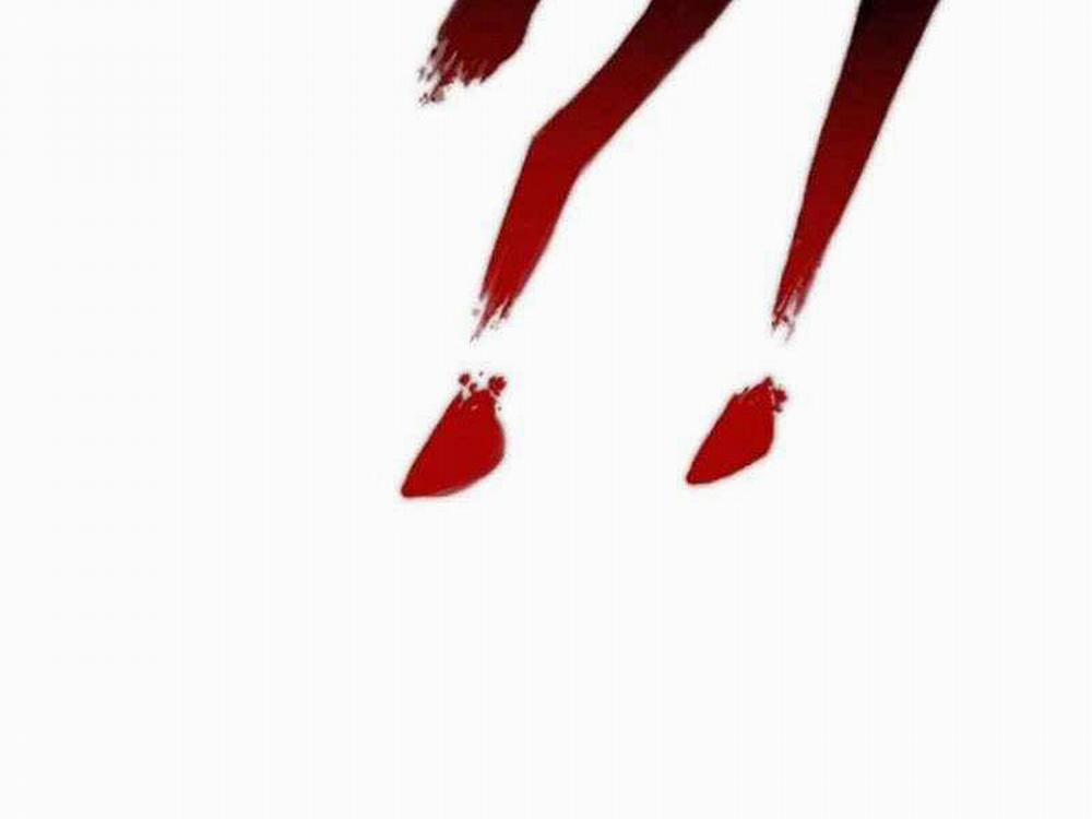 Bố Tôi Là Đặc Vụ 122 trang 184