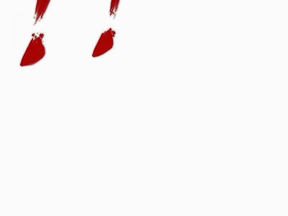 Bố Tôi Là Đặc Vụ 123.5 trang 180