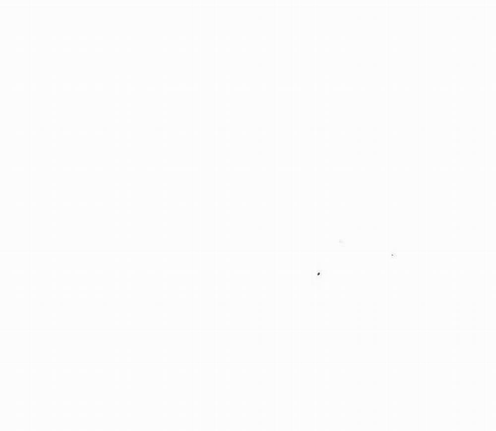 Bố Tôi Là Đặc Vụ 34 trang 77