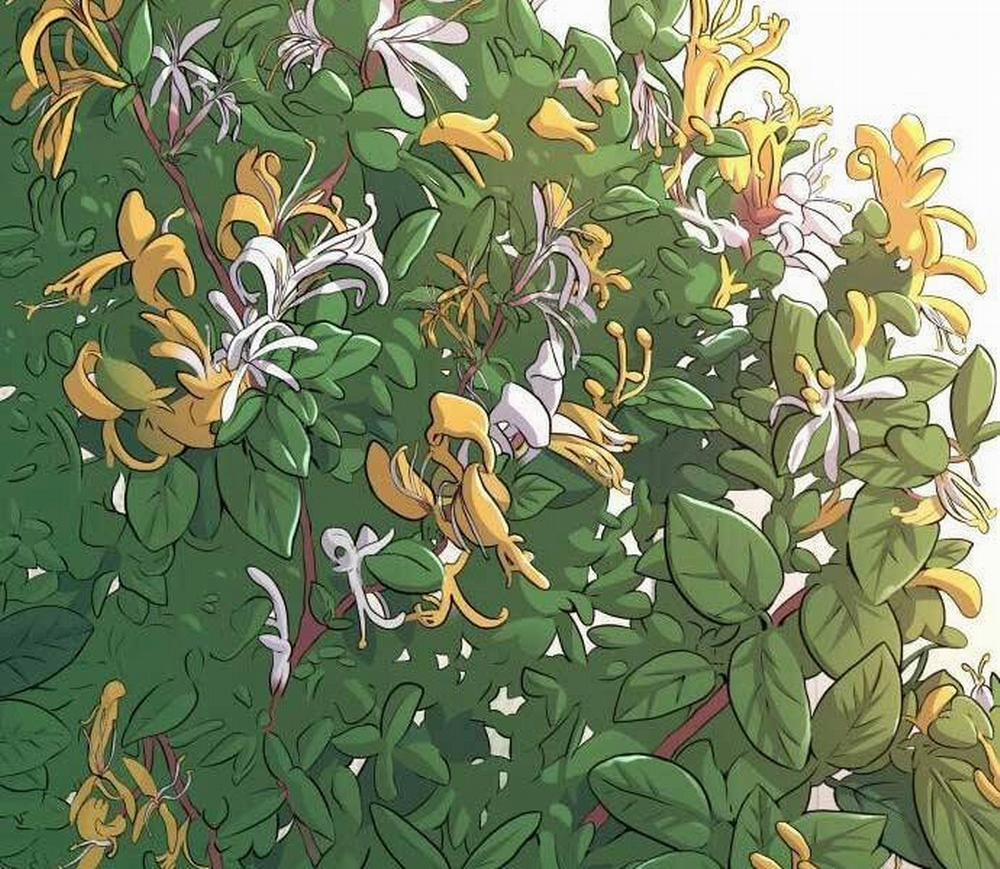 Bố Tôi Là Đặc Vụ 41 trang 29