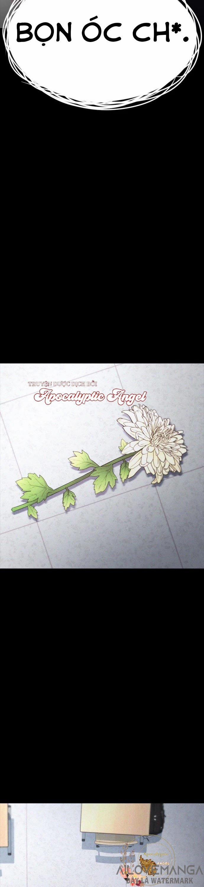 Bố Vạn Năng 17 trang 48