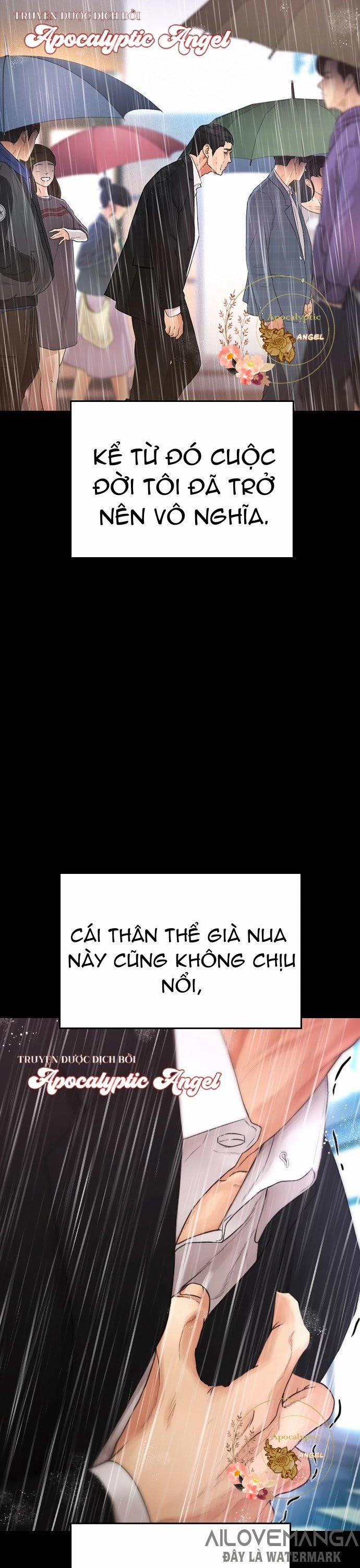 Bố Vạn Năng 19 trang 17