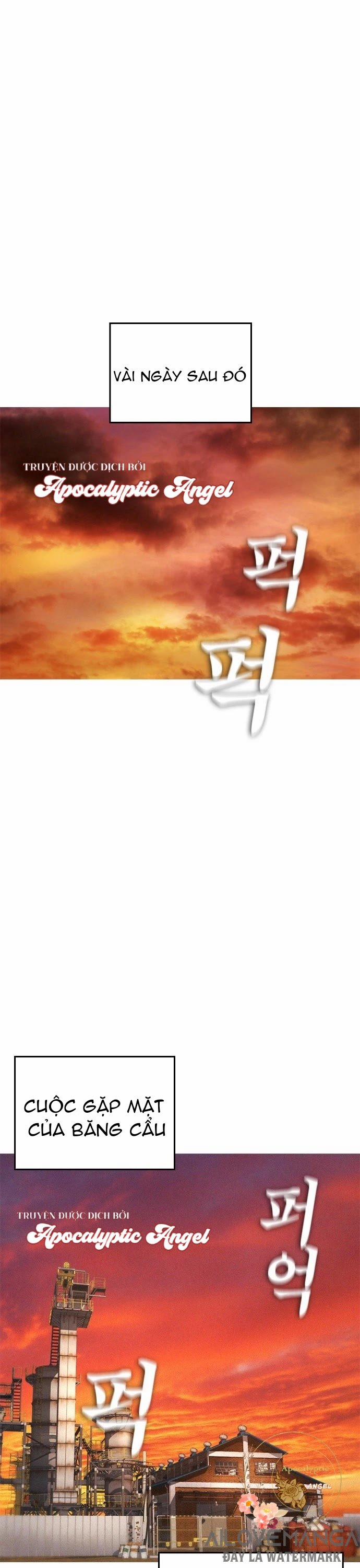 Bố Vạn Năng 19 trang 35