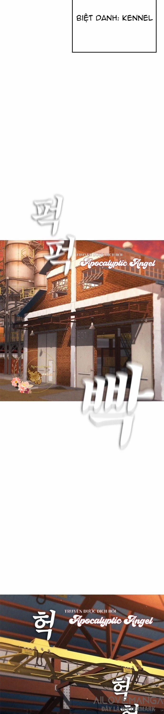 Bố Vạn Năng 19 trang 36