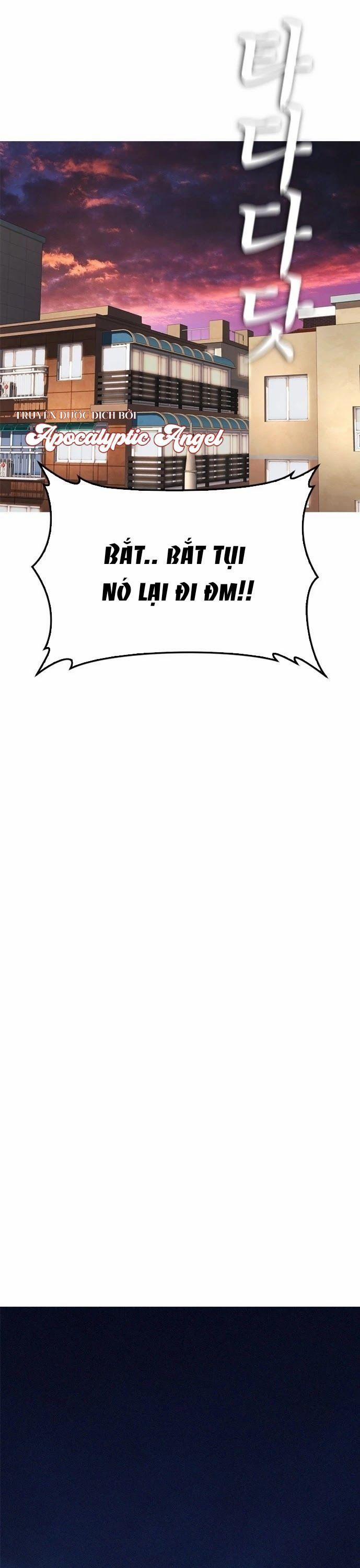 Bố Vạn Năng 23 trang 38