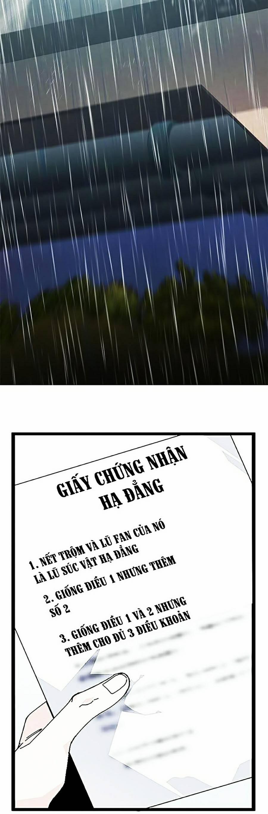 Bố Vạn Năng 30 trang 11