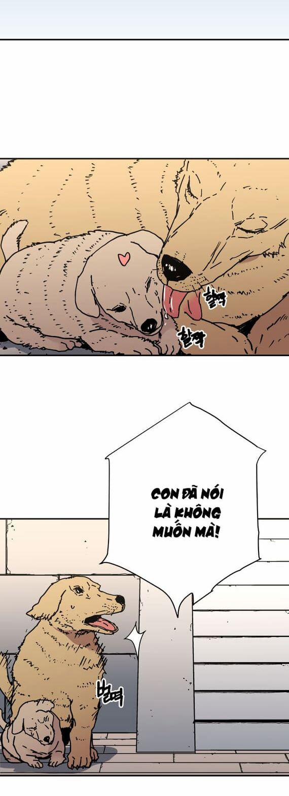 Bố Vô Song 148 trang 30