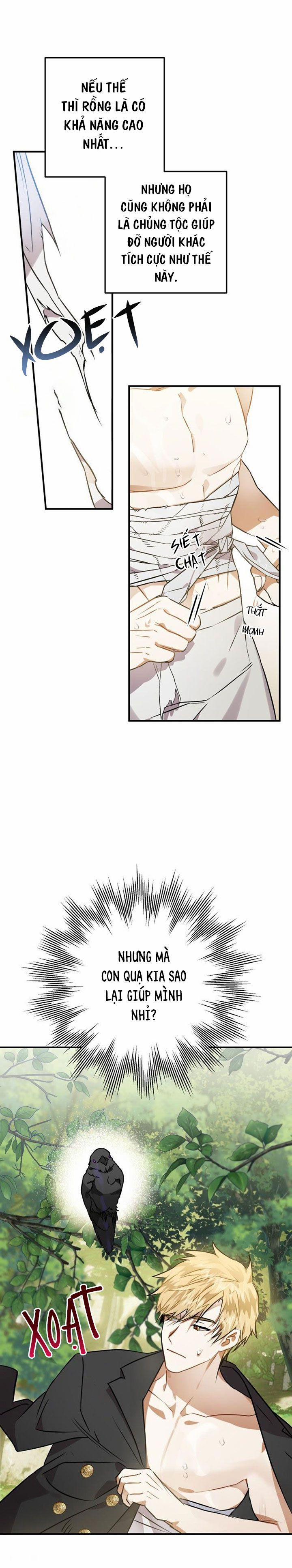 Bỗng Nhiên Tôi Trở Thành Quạ Đen!! 2.5 trang 11