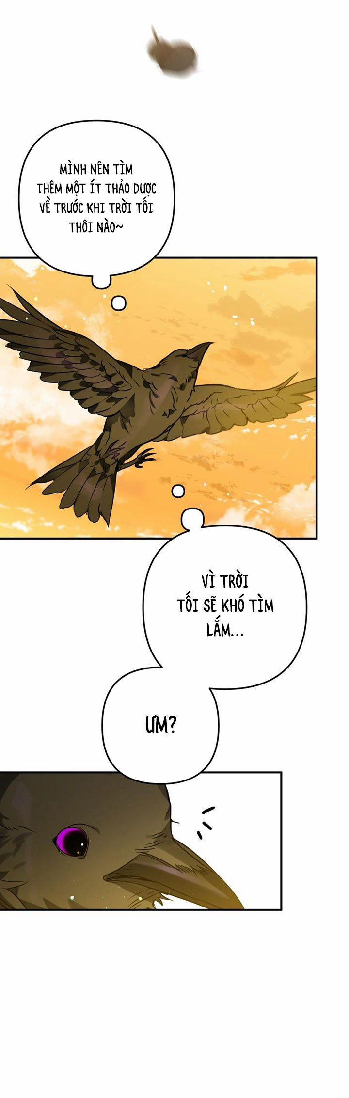 Bỗng Nhiên Tôi Trở Thành Quạ Đen!! 3 trang 16