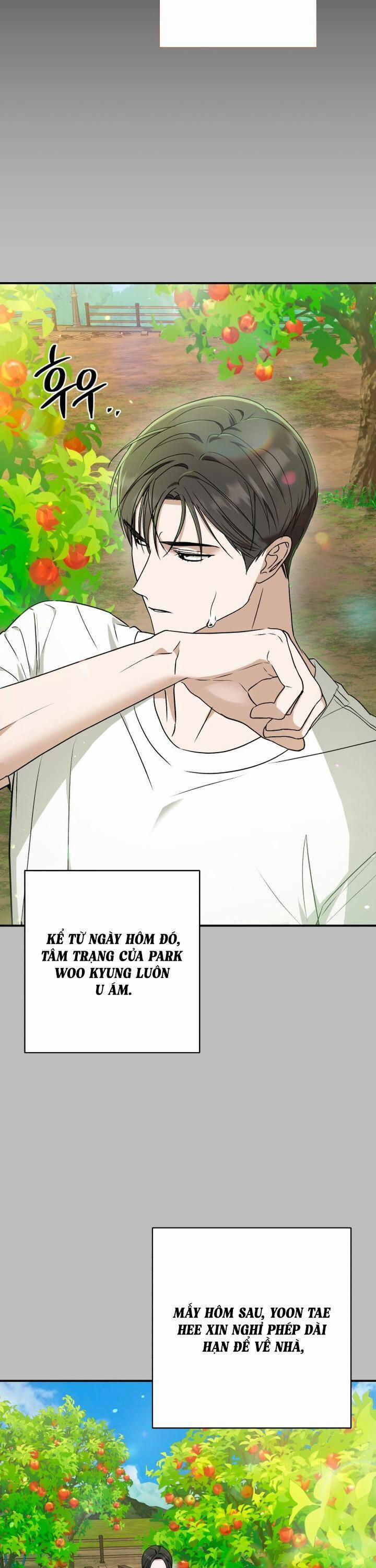 Bóng Râm Mùa Xuân 19 trang 19