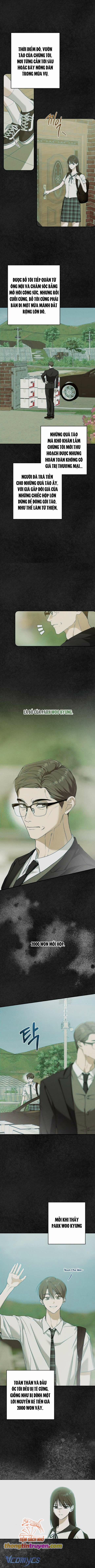 Bóng Râm Mùa Xuân 8 trang 2