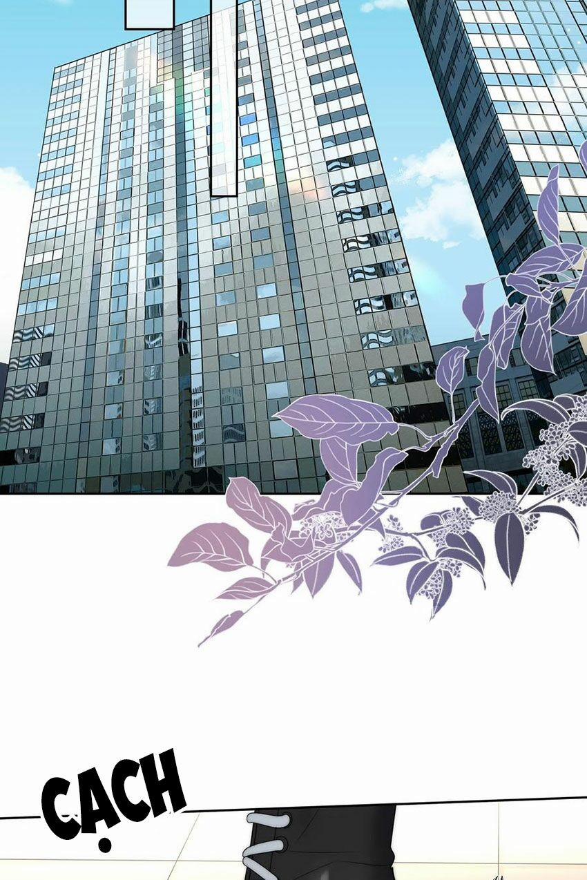 Boss Đại Nhân Là Nữ Thần? 55 trang 16