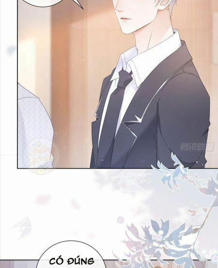 Boss Sát Thủ Dưỡng Hồ Yêu 10 trang 37