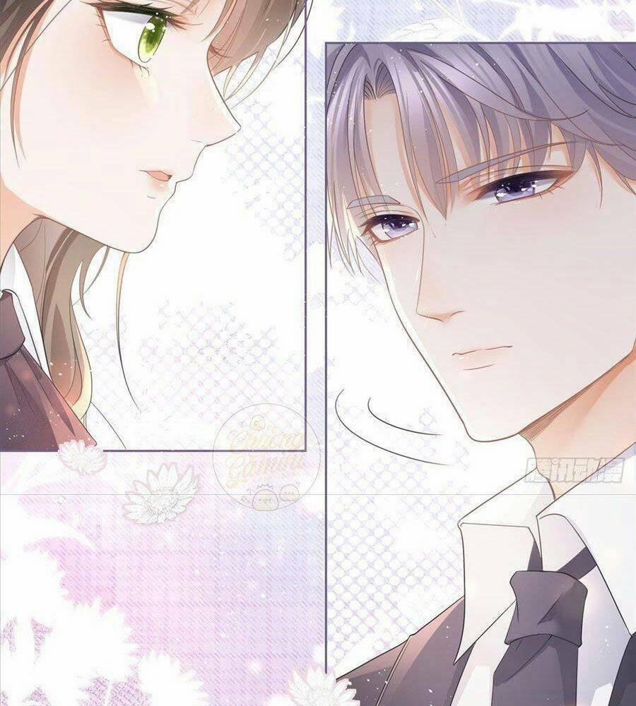 Boss Sát Thủ Dưỡng Hồ Yêu 11 trang 7