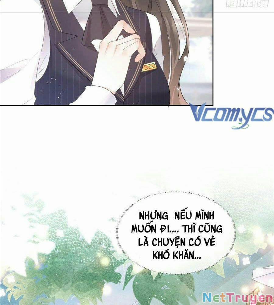 Boss Sát Thủ Dưỡng Hồ Yêu 12 trang 11