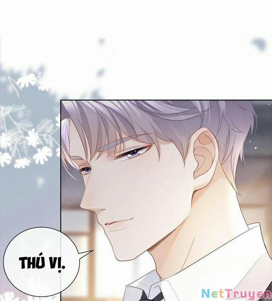 Boss Sát Thủ Dưỡng Hồ Yêu 12 trang 40