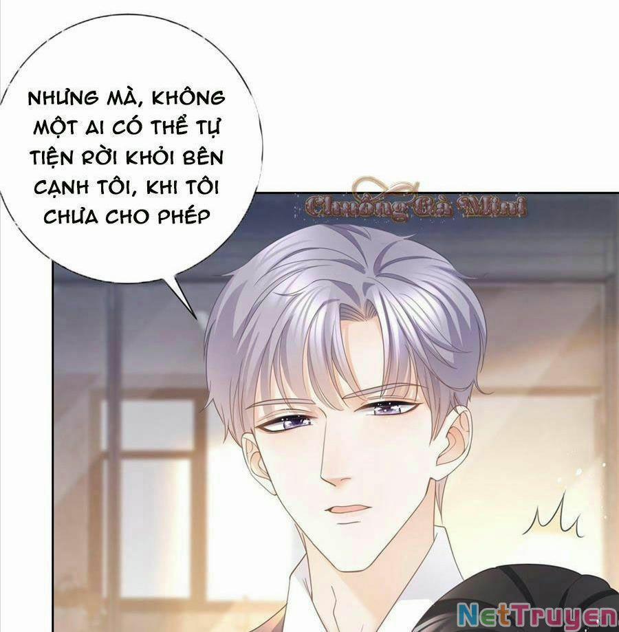 Boss Sát Thủ Dưỡng Hồ Yêu 12 trang 44