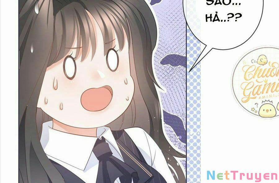 Boss Sát Thủ Dưỡng Hồ Yêu 12 trang 46